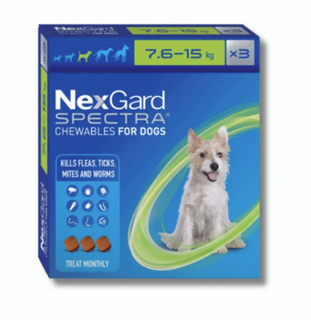 NexGard Spectra Dog Chewable Medium 7.6 - 15kg 3pk
