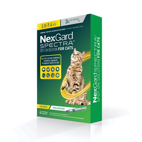 NexGard Spectra Cat 2.5 - 7.4kg 3pk