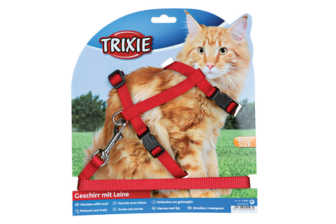 Petsmart cat clearance harness and leash