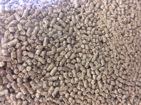 Westons Chooks Choice 10kg