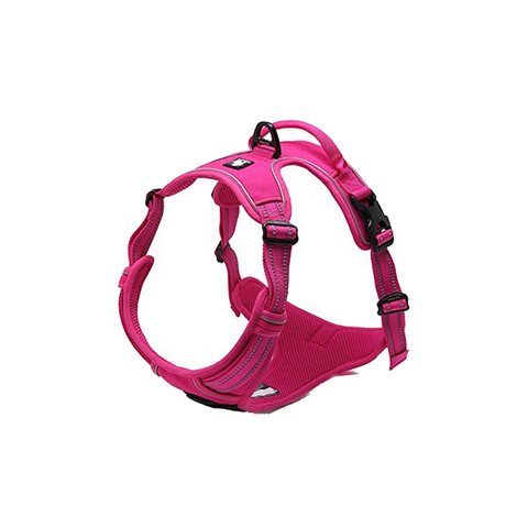True Love No-Pull Mesh Harness Fuschia