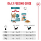 Royal Canin Cat Ageing 11+ 2kg