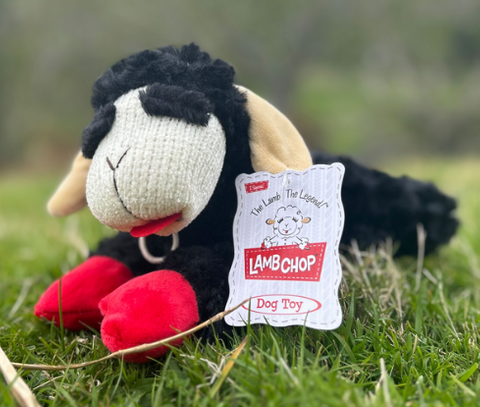 Lamb Chop Black 25cm