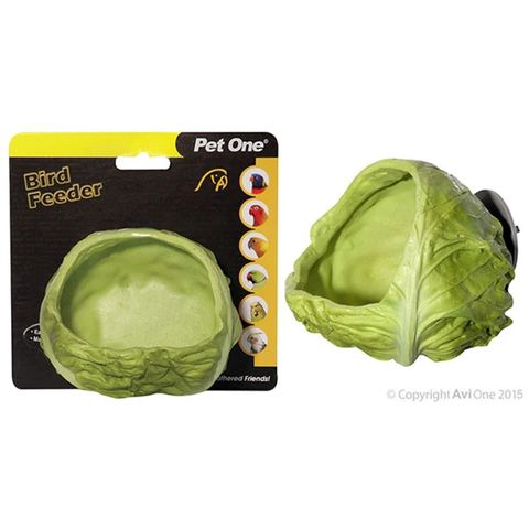 Avi One Fruit Feeder Resin Cabbage