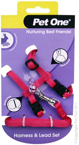 Pet One Leash & Harness - Rabbit & Guinea Pig