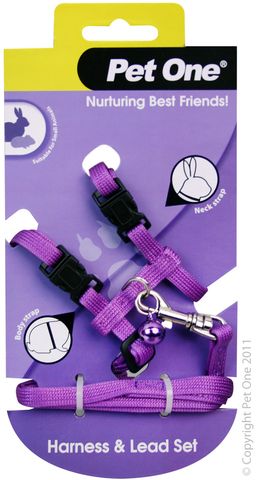 Pet One Leash & Harness - Rabbit & Guinea Pig