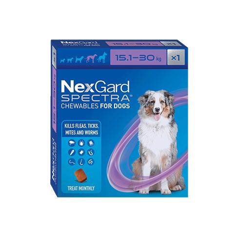 NexGard Spectra Dog Chewable Large 15.1 - 30kg 1pk