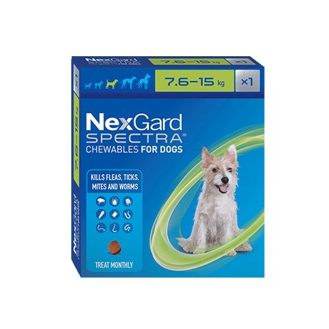 NexGard Spectra Dog Chewable  Medium 7.6 - 15kg 1pk