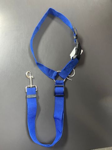 PS Lead Head Rest Attachment