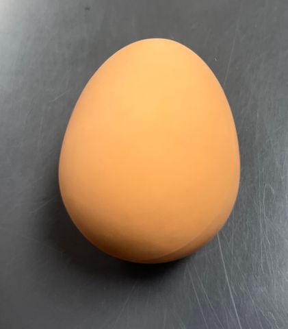 PS Rubber Eggs