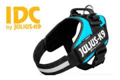 Julius K9 Powerharness Aquamarine