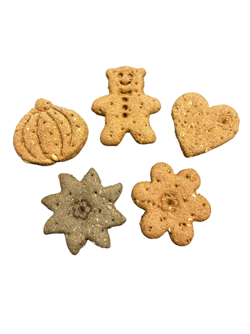 Rewardz Treat Biscuit