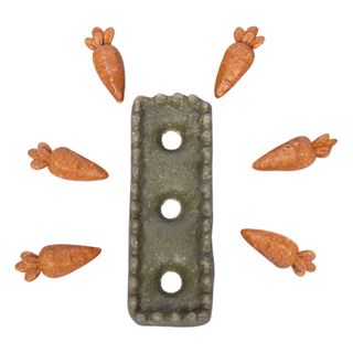 Pet One Small Animal Treat Carrot Patch 7pk