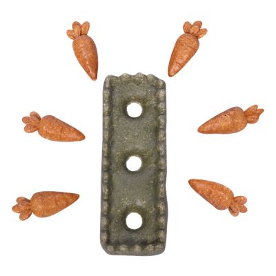 Pet One Small Animal Treat Carrot Patch 7pk