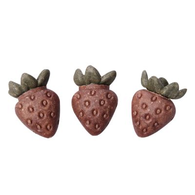 Pet One Small Animal Treat Strawberries 3pk