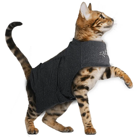 AFP Calm Paws Cat Anxiety Vest - Medium