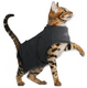 Thundershirts