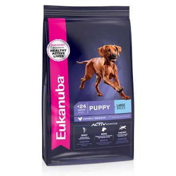 Eukanuba Dog  Puppy Large Breed 15kg