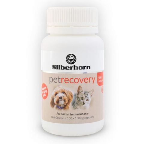 Silberhorn Pet Recovery 100's