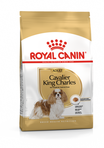 RC Dog Cavalier King Charles 7.5kg