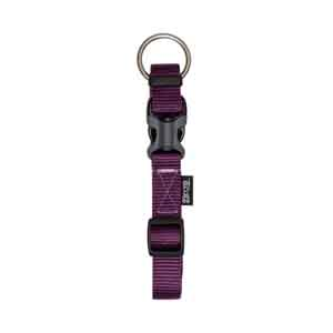Zeus Dog Collar Medium Royal Purple 28-40cm