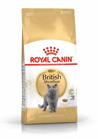 RC Cat British Shorthair  2kg