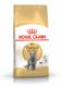 Royal Canin Cat Food
