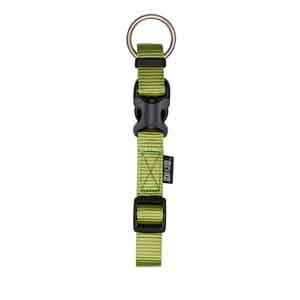 Zeus Dog Collar Olive