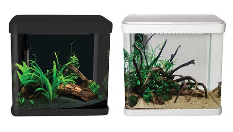 Aqua One Lifestyle 21 Glass Aquarium  21L White