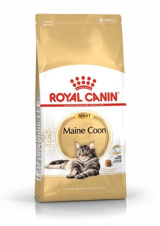 RC Cat Maine Coon  2kg