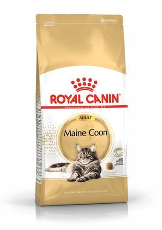 Royal Canin Cat Maine Coon 10kg