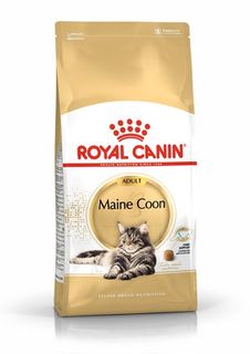 Royal Canin Cat Maine Coon 10kg