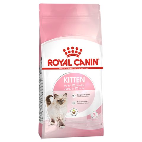 RC Cat Kitten  2kg