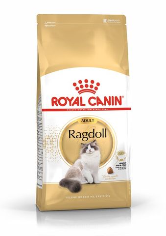 RC Cat Ragdoll Adult  2kg