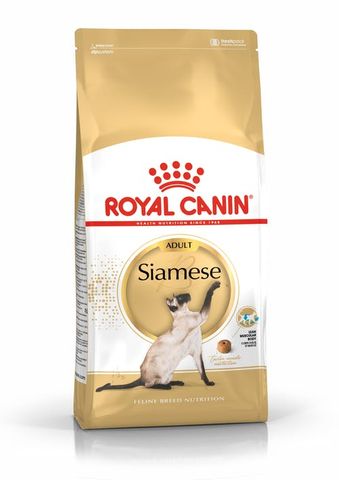 RC Cat Siamese  2kg