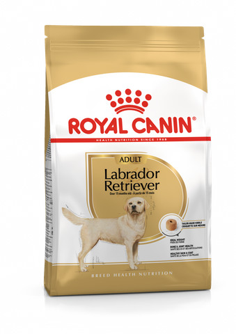 RC Dog Labrador Adult 12kg