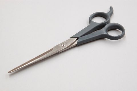 Petsmart shop grooming shears