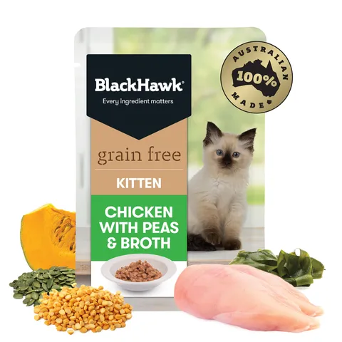 Black Hawk Cat  Kitten Chicken & Peas 85g Sachet