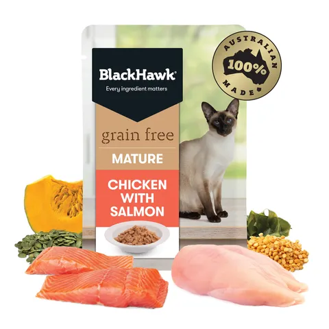 Black Hawk Cat  Mature Chicken & Salmon 85g Sachet