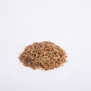 Dried Mealworms 125g