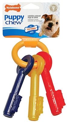 Nylabone Teething Keys -   XS