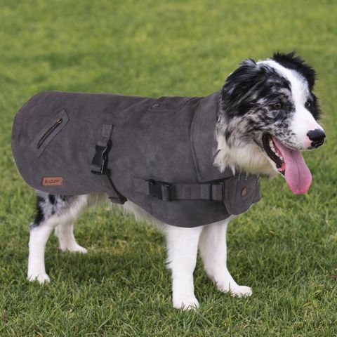 Kazoo dog outlet coats