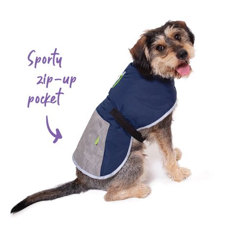 Kazoo best sale dog jacket