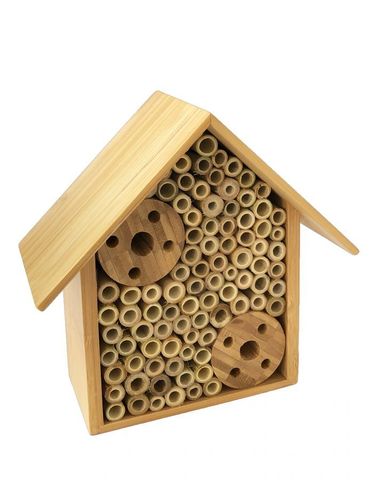 The Bug & Bee Hut - Insect House