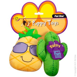 Pet One Puppy Cactus Set 2pk