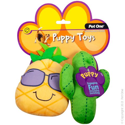 Pet One Puppy Cactus Set 2pk