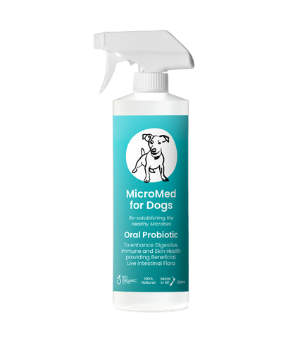 MicroMed Everyday Spray for Dogs 500ml