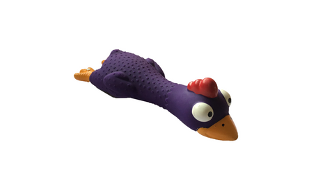 Rubber chicken 2025 dog toy petsmart