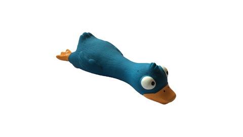 Petsmart best sale duck toy