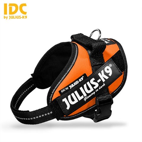 Julius K9 Powerharness Orange